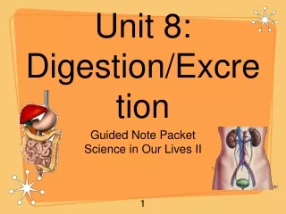 Unit 8:  Digestion/Excretion
