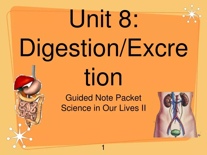 unit 8 digestion excretion