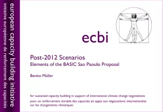 Post-2012 Scenarios Elements of the BASIC Sao Paoulo Proposal Benito M üller