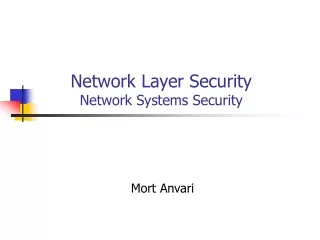 Network Layer Security  Network  Systems  Security