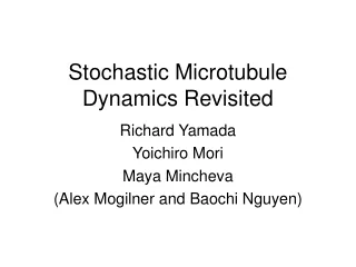 Stochastic Microtubule Dynamics Revisited