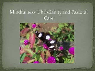 Mindfulness, Christianity and Pastoral Care