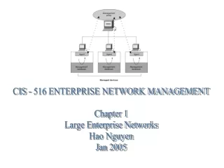 CIS - 516 ENTERPRISE NETWORK MANAGEMENT Chapter 1 Large Enterprise Networks Hao Nguyen Jan 2005