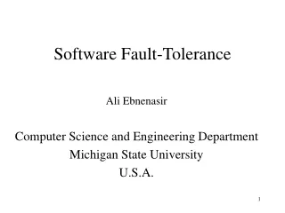 Software Fault-Tolerance
