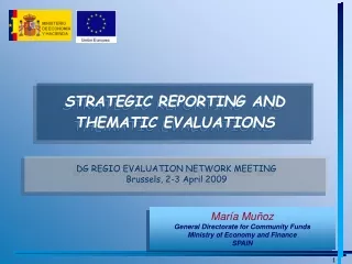 STRATEGIC REPORTING AND THEMATIC EVALUATIONS