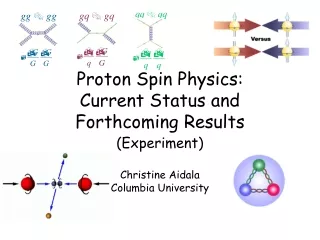 Proton Spin Physics:   Current Status and Forthcoming Results