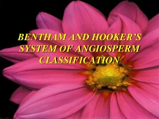 BENTHAM AND HOOKER’S SYSTEM OF ANGIOSPERM CLASSIFICATION