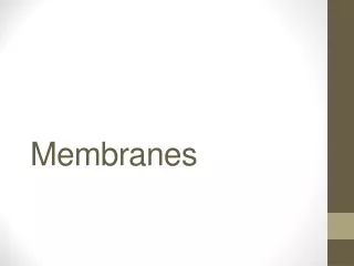 Membranes