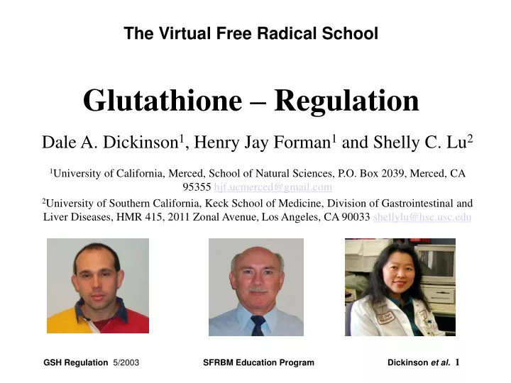 the virtual free radical school glutathione