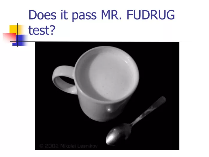 does it pass mr fudrug test