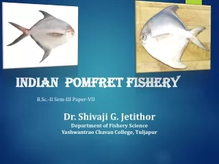 INDIAN  POMFRET FISHERY
