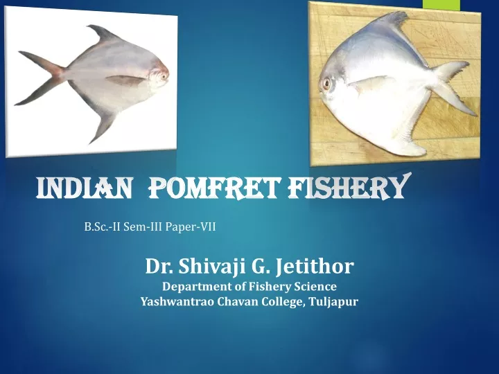 indian pomfret fishery