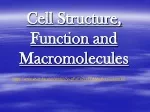 Cell Structure, Function and Macromolecules - slide 1