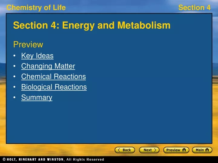 section 4 energy and metabolism