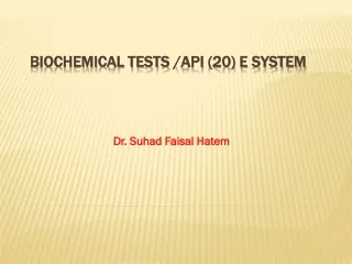 Biochemical tests / Api  (20) E system