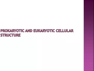 Prokaryotic and Eukaryotic Cellular Structure