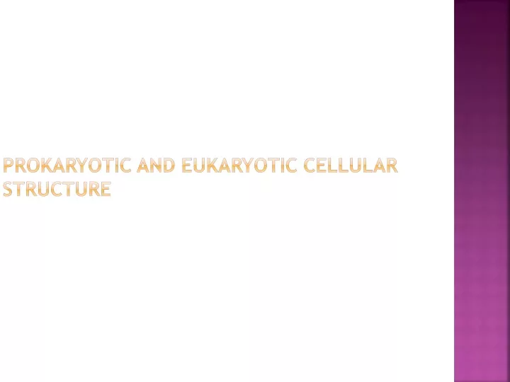 prokaryotic and eukaryotic cellular structure