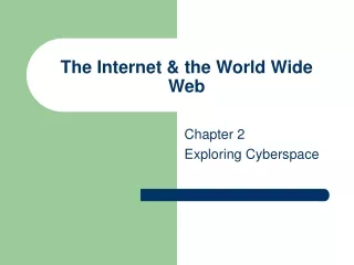 The Internet &amp; the World Wide Web