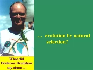 …  evolution by natural 	selection?