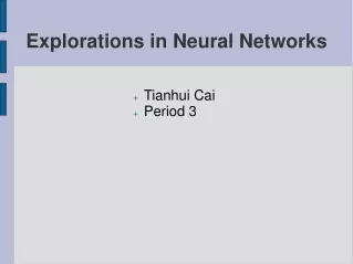 Explorations in Neural Networks