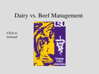 Dairy vs. Beef Management