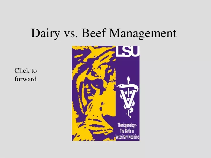 dairy vs beef management