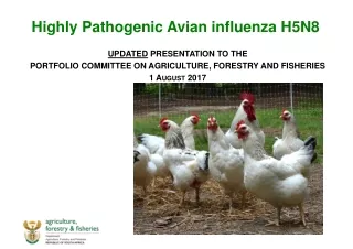 Highly Pathogenic Avian influenza H5N8