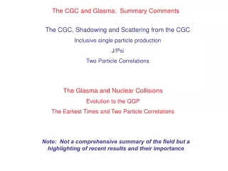 The CGC and Glasma:  Summary Comments