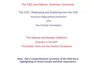 the cgc and glasma summary comments