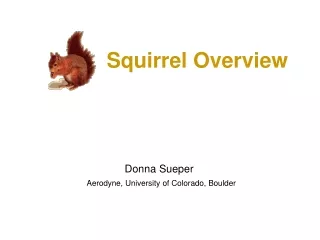 Squirrel Overview