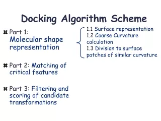 Docking Algorithm Scheme