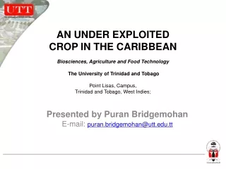 Presented by Puran Bridgemohan E-mail:  puran.bridgemohan@utt.tt