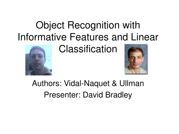 object recognition with informative features and linear classification