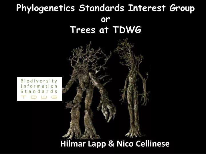 phylogenetics standards interest group or trees at tdwg