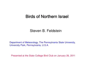 Birds of Northern Israel