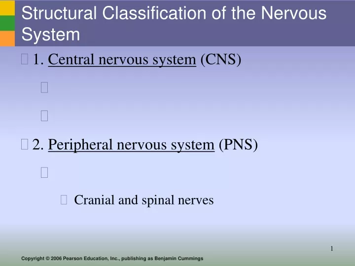 structural classification of the nervous system