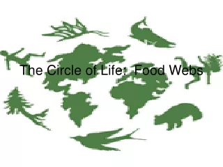 The Circle of Life:  Food Webs