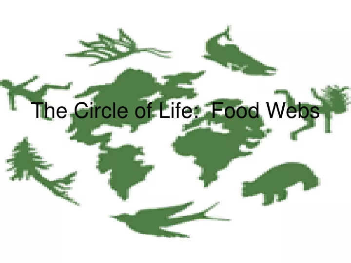 the circle of life food webs