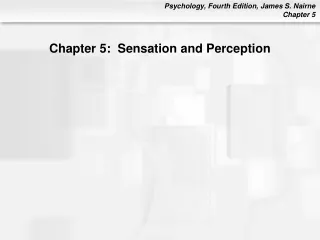 Chapter 5:  Sensation and Perception