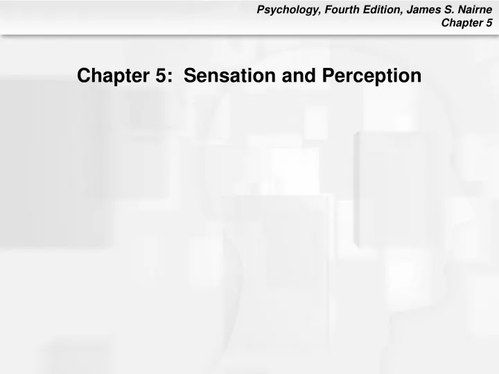 chapter 5 sensation and perception
