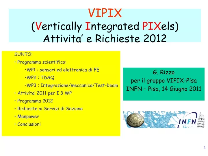 vipix v ertically i ntegrated pix els attivita e richieste 2012