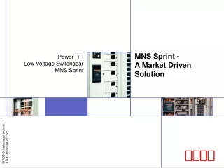 MNS Sprint - A Market Driven Solution