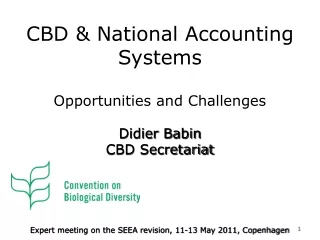 CBD &amp; National Accounting Systems
