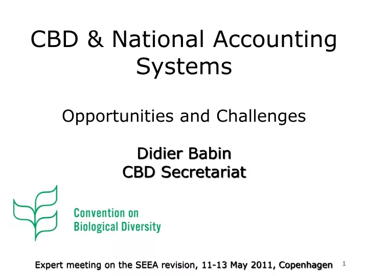 cbd national accounting systems