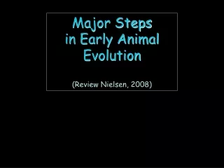 Major Steps  in Early Animal  Evolution (Review Nielsen, 2008)