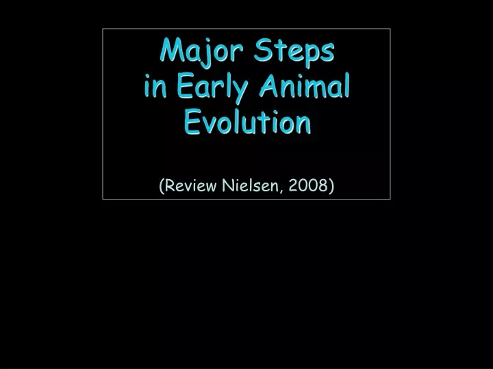 major steps in early animal evolution review