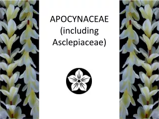 APOCYNACEAE (including Asclepiaceae)