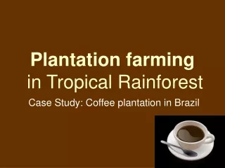 Plantation farming  in Tropical Rainforest