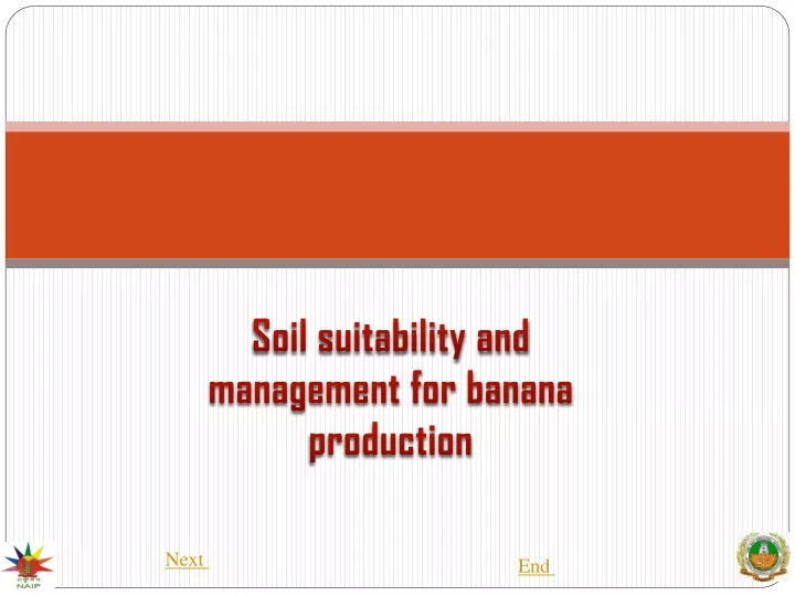 soil suitability and management for banana