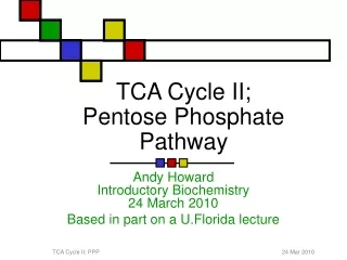 TCA Cycle II; Pentose Phosphate Pathway